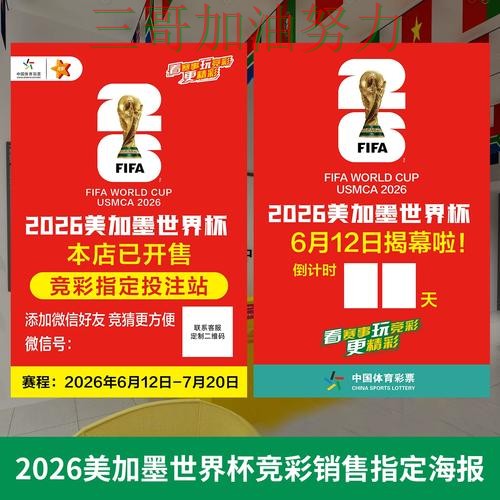 世界杯投注如何操作？实测对比带你了解（世界杯赛事中心）